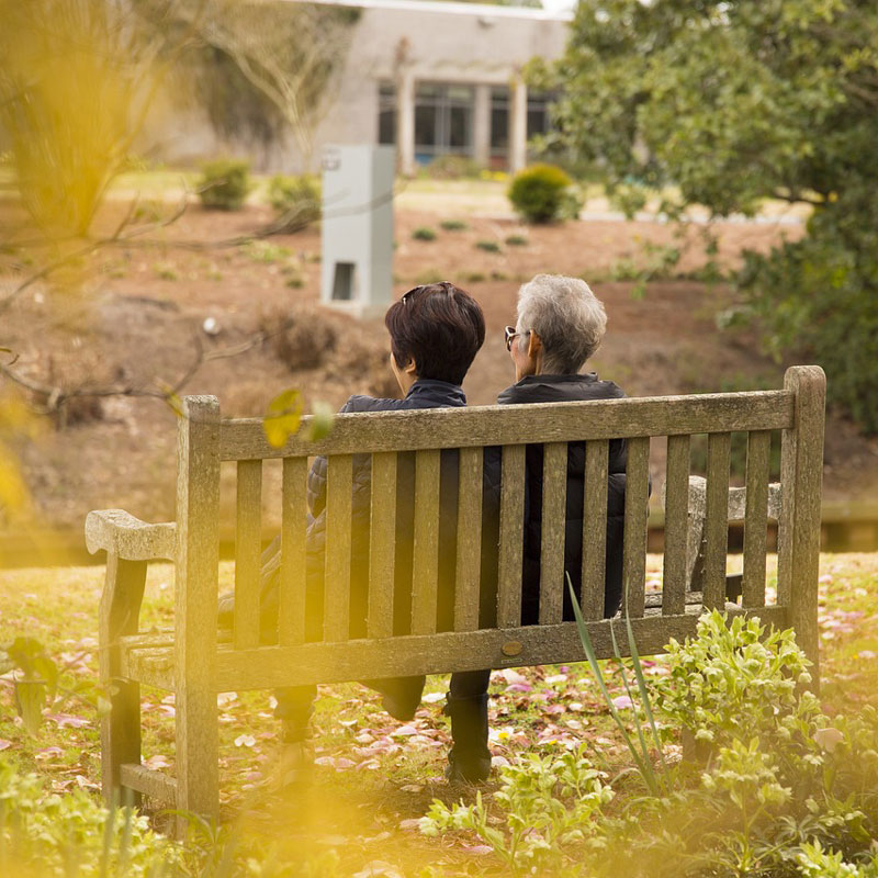 Companion Care services